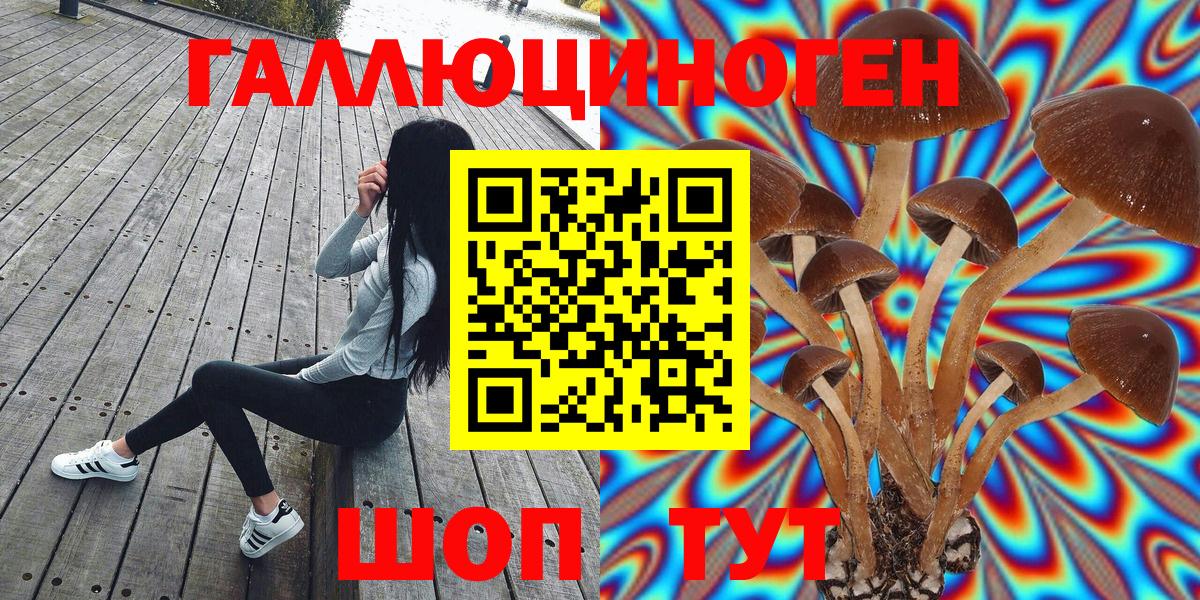 Псилоцибиновые грибы GOLDEN TEACHER Мелеуз