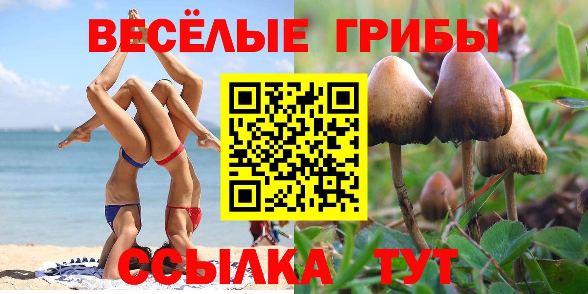 Галлюциногенные грибы Psilocybine cubensis  Галлюциногенные грибы GOLDEN TEACHER  Вход с VPN  Мелеуз 